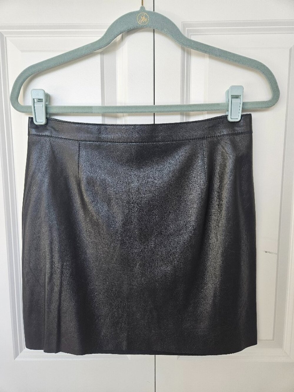 NWOT Susan Monaco Genuine Leather Skirt, Size 6